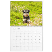 Schnauzer Calendar Kalender (Mar 2027)