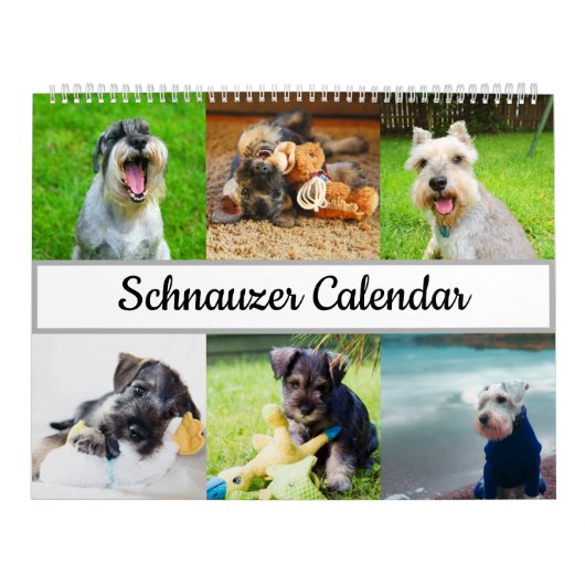 Schnauzer Calendar Kalender (Hoes)