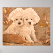 Schnauzer Chefs Kitchen Print (Voorkant)