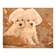 Schnauzer Chefs Kitchen Print