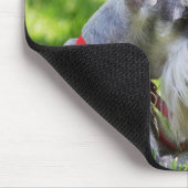 Schnauzer die in het gras ligt muismat (Hoek)