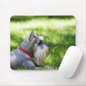 Schnauzer die in het gras ligt muismat (Met muis)