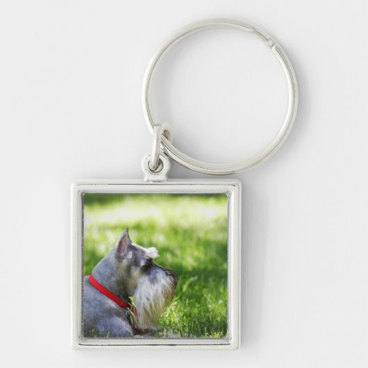 Schnauzer die in het gras ligt sleutelhanger (Voorkant)