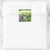 Schnauzer die in het gras ligt vierkante sticker (Tas)