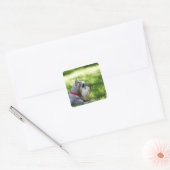 Schnauzer die in het gras ligt vierkante sticker (Envelop)