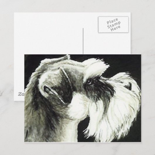 "Schnauzer" Dog Art Briefkaart (Voorkant / Achterkant)
