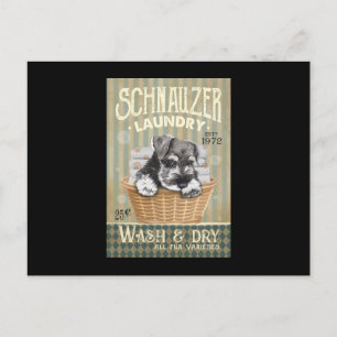 Schnauzer Dog Briefkaart