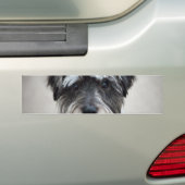 Schnauzer Dog Bumpersticker (Op auto)