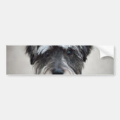 Schnauzer Dog Bumpersticker (Voorkant)