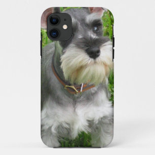 Schnauzer Dog iPhone 11 Hoesje