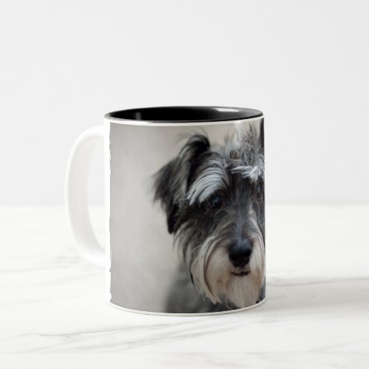 Schnauzer Dog Coffee Cup Tweekleurige Koffiemok (Voorkant links)