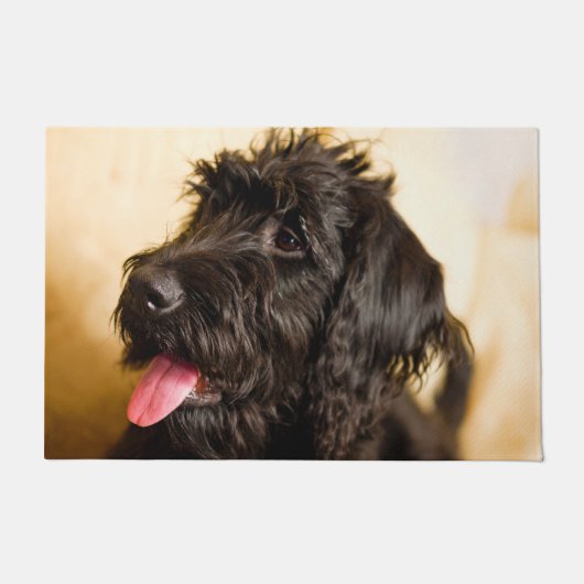 Schnauzer Dog. Deurmat (Voorkant)