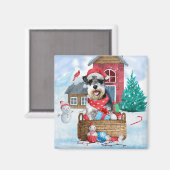 Schnauzer Dog in het sneeuwkersthuis Magneet (Voorkant / Achterkant)
