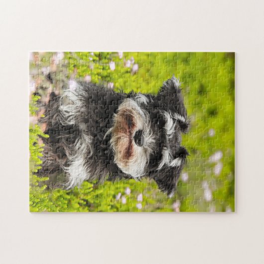 Schnauzer Dog Jigsaws. Legpuzzel (Horizontaal)