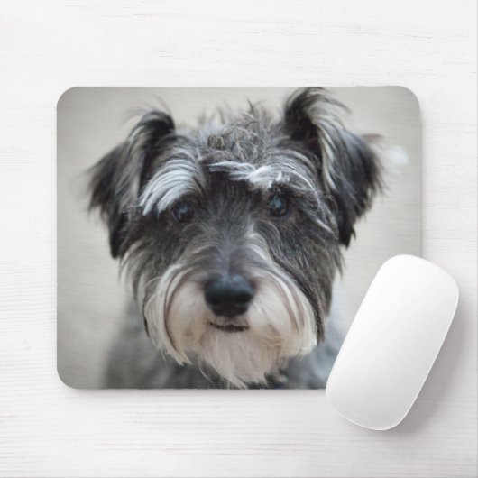 Schnauzer Dog Muismat (Met muis)