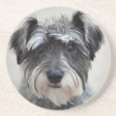 Schnauzer Dog Onderzetter (Voorkant)