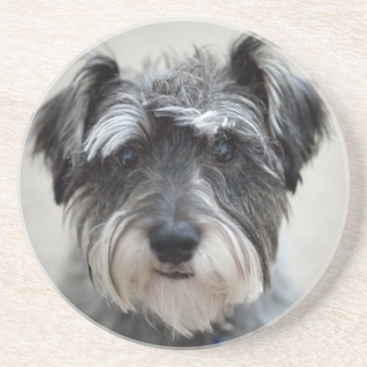 Schnauzer Dog Onderzetter (Voorkant)
