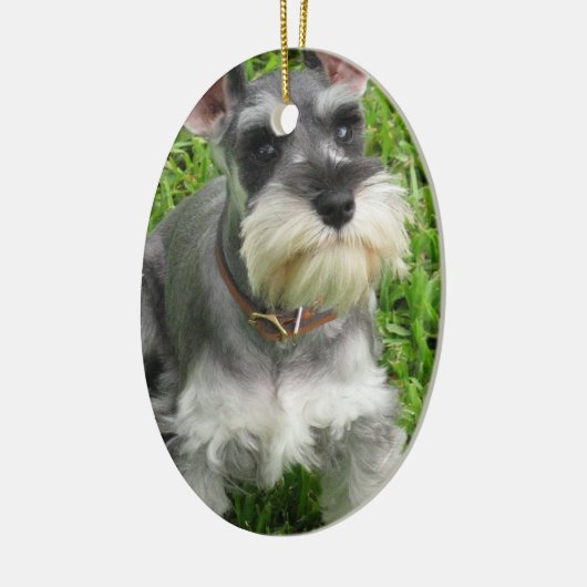 Schnauzer Dog Ornament (Links)