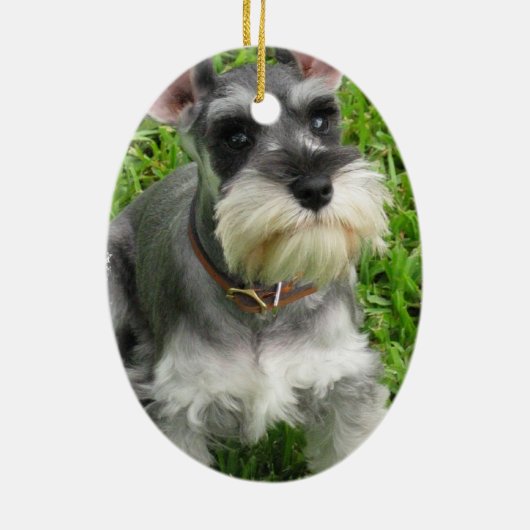 Schnauzer Dog Ornament (Achterkant)