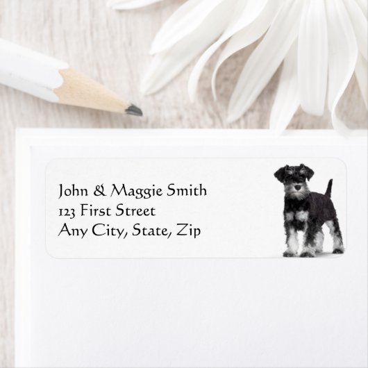 Schnauzer Dog Pet Animal Etiket (Insitu)