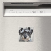 Schnauzer Dog Square Magnet (Insitu (Vaatwasser))