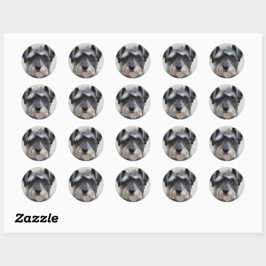 Schnauzer Dog Sticker (Vel)