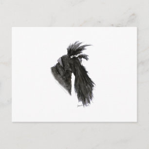 Schnauzer dog, tony fernandes briefkaart