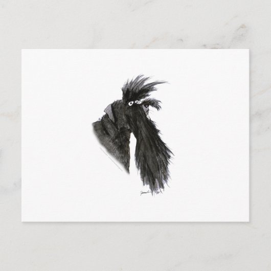 Schnauzer dog, tony fernandes briefkaart (Voorkant)