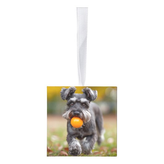 Schnauzer Dog Two Photo Christmas Holiday Decoratie (Rechts)