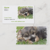 Schnauzer Dog Visitekaartje (Voorkant / Achterkant)