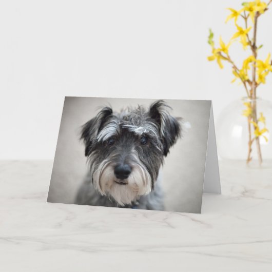 Schnauzer Dog Wenskaart Kaart (Gele Bloem)