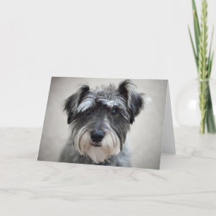 Schnauzer Dog Wenskaart Kaart