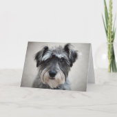 Schnauzer Dog Wenskaart Kaart (Voorkant)
