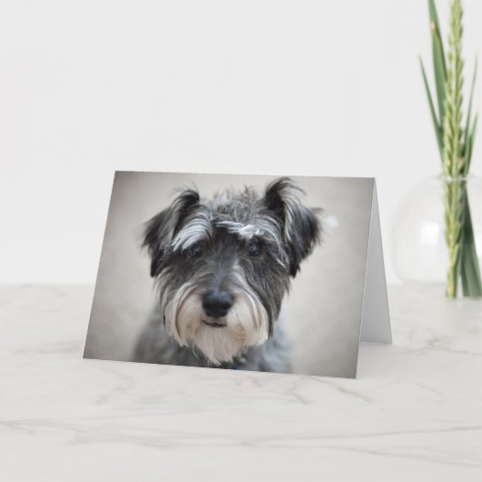 Schnauzer Dog Wenskaart Kaart (Voorkant)
