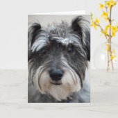 Schnauzer Dog Wenskaart Kaart (Gele Bloem)