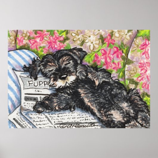 Schnauzer Dreams Print (Voorkant)