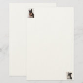 Schnauzer Felt Paper Briefpapier (Voorkant / Achterkant)