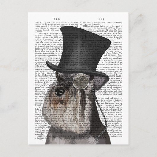 Schnauzer, Formele hond en Pet Briefkaart (Voorkant)