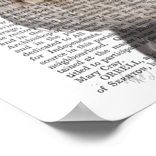 Schnauzer, Formele hond en Pet Poster (Hoek)