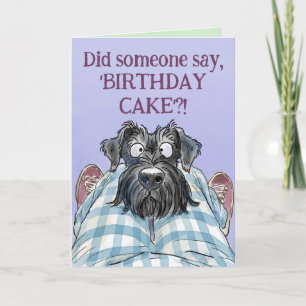 Schnauzer Funny Hungry Birthday Greetings Kaart