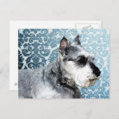 Schnauzer, geverfd briefkaart (Voorkant / Achterkant)