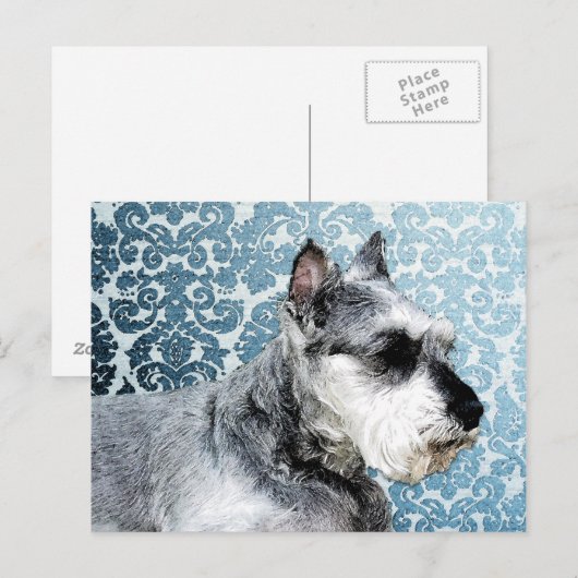 Schnauzer, geverfd briefkaart (Voorkant / Achterkant)