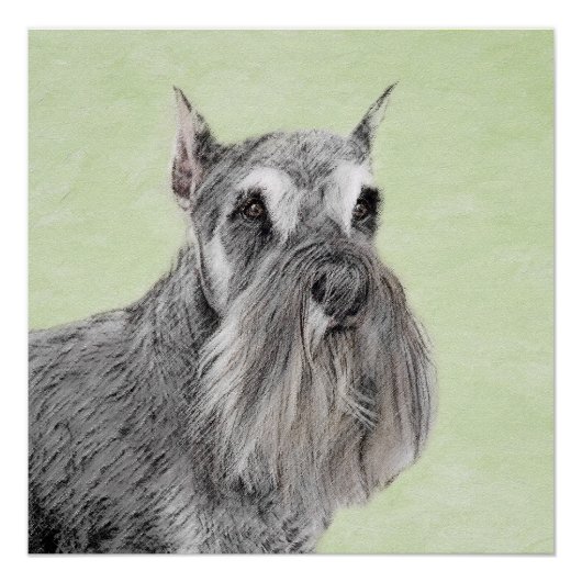Schnauzer (Giant, Standard) Schnauzer - Dog Art Perfect Poster (Voorkant)