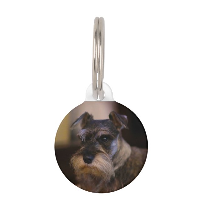 Schnauzer hond huisdierpenning (Voorkant)
