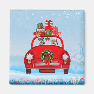 Schnauzer hond in auto met kerstman  magneet