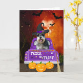 Schnauzer-hond in Halloween-vrachtwagen Kaart (Gele Bloem)