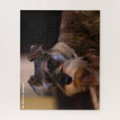 Schnauzer hond legpuzzels. Legpuzzel (Verticaal)