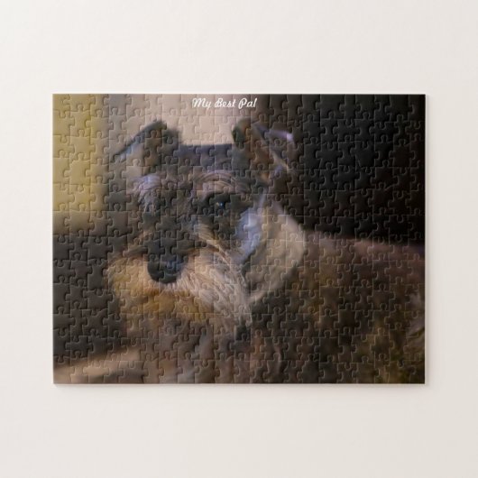 Schnauzer hond legpuzzels. legpuzzel (Horizontaal)