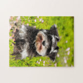 Schnauzer hond puzzels. legpuzzel (Horizontaal)