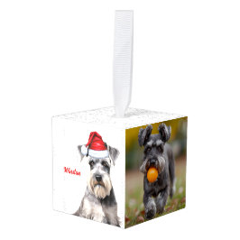 Schnauzer Hond Twee Foto Kerstvakantie Decoratie